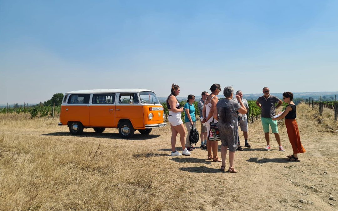 Entre Vignes Vins et Châteaux : Ancenis